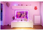 Barbie World 144×100