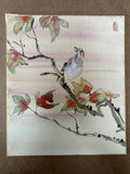 The Bird