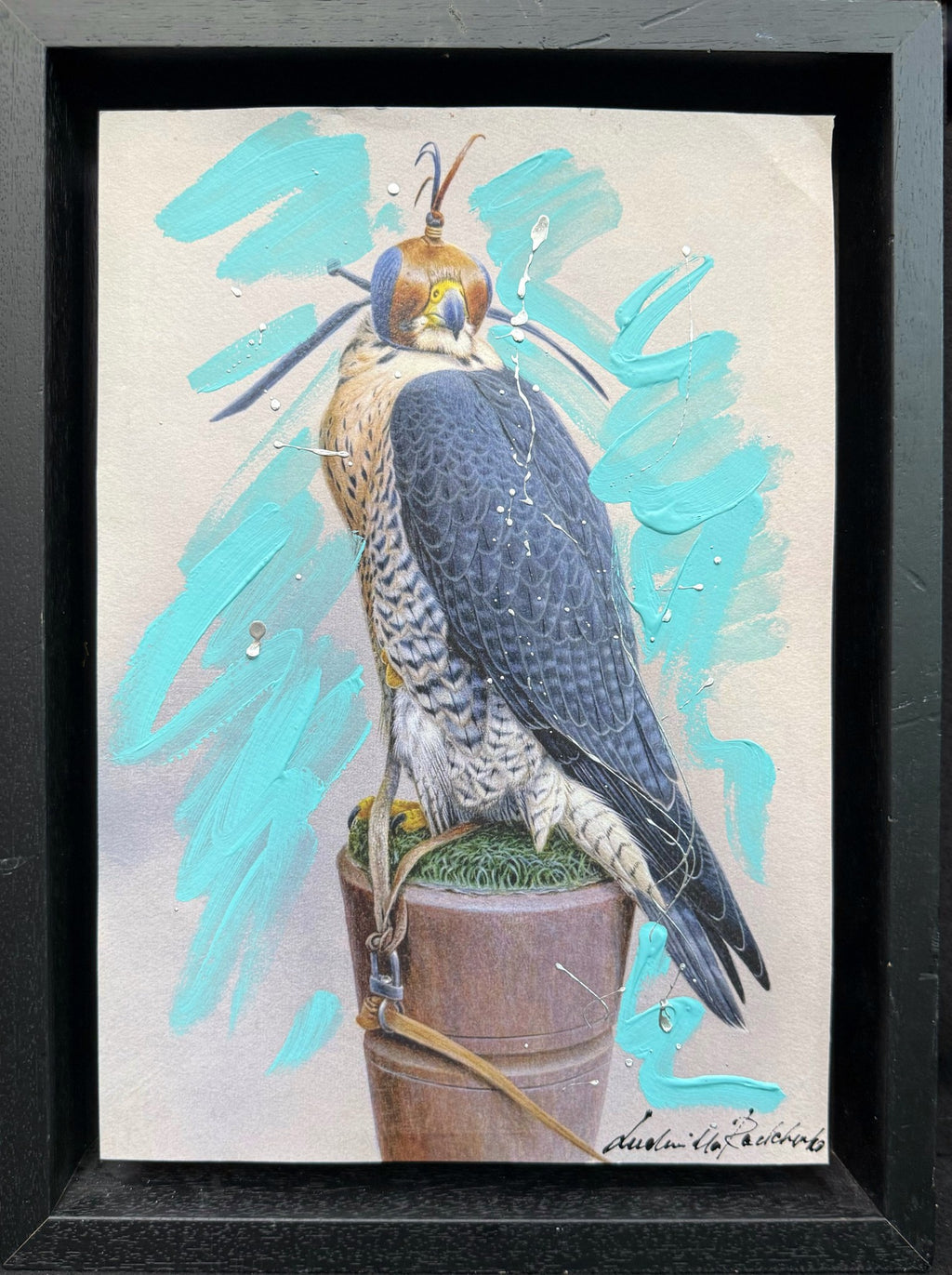 Falco 46×36