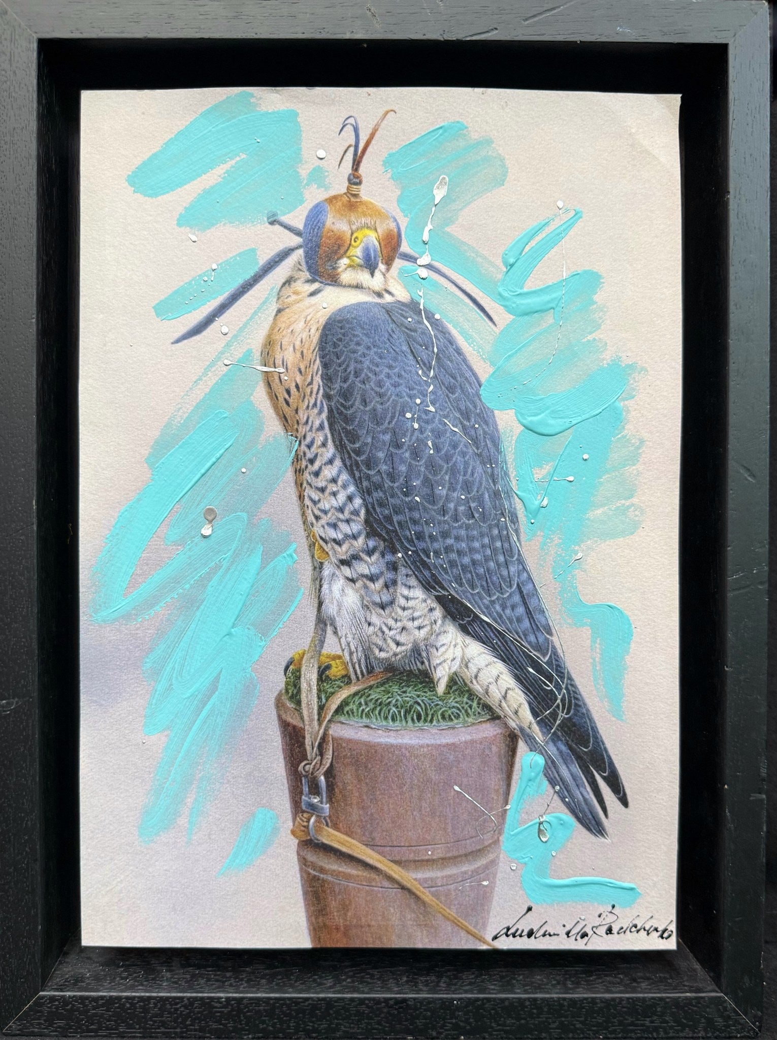 Falco 46×36