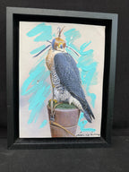 Falco 46×36
