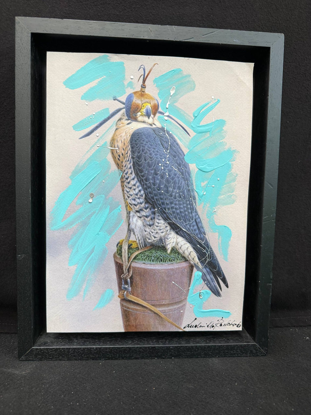 Falco 46×36